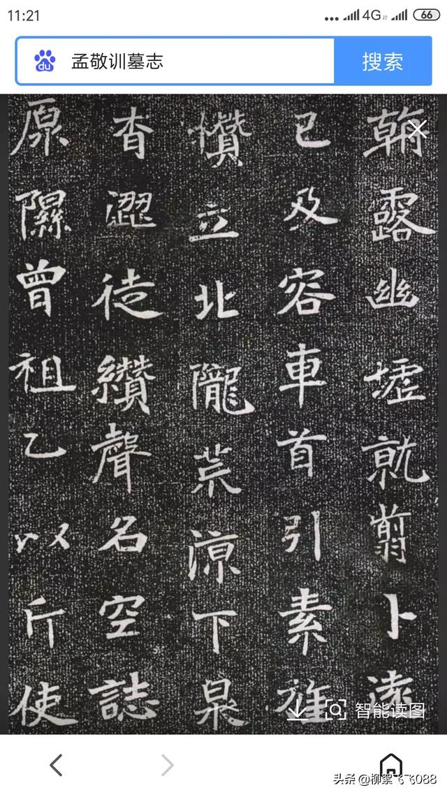 字体-草书