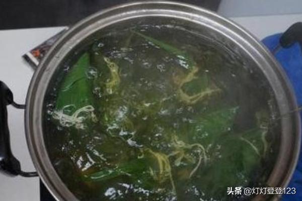 西米粽子的做法-西米粽子的做法和包法的正确煮法