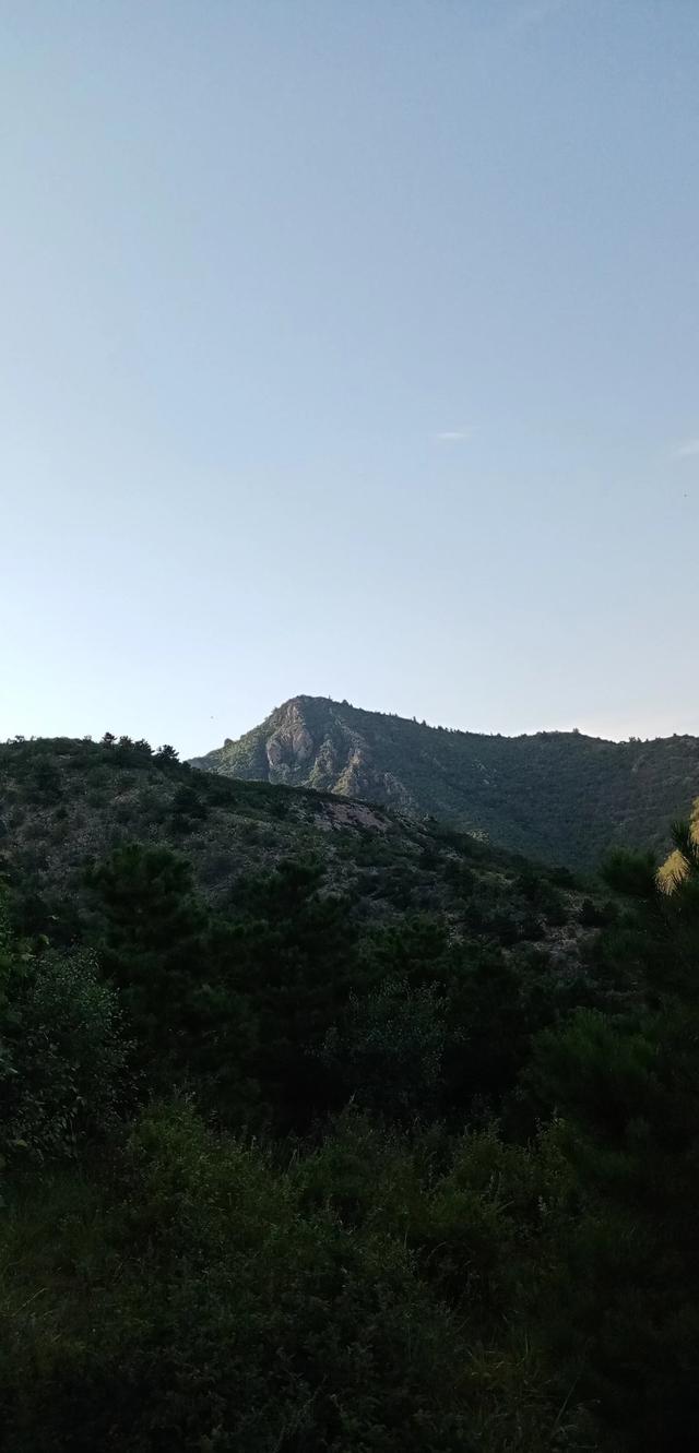 圆通蚌埠到淮南的快递电话，圆通蚌埠到淮南的快递电话号码