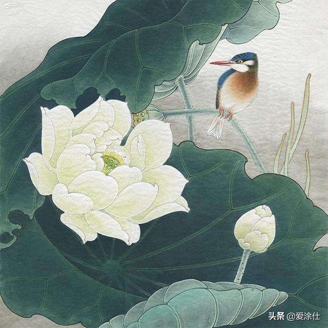 工笔花卉绘画?工笔花卉绘画技法!