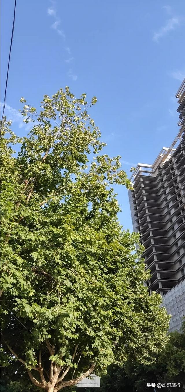 为什么旅行社拿到的机票就是比直接去买的便宜