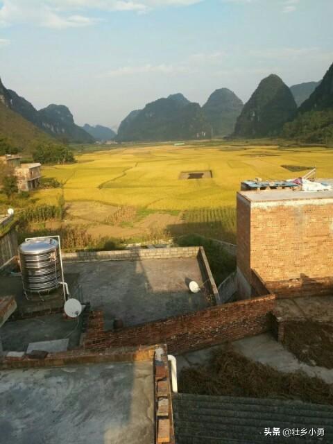 智能化养牛场视频 所有发达国家农业都发达吗？