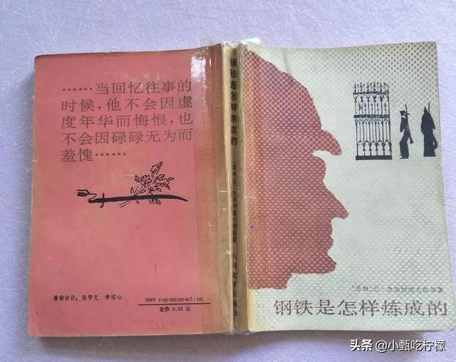 钢铁怎样炼成1 18章概括感悟