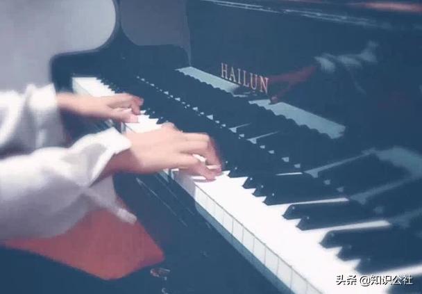 卡农小提琴简谱（提琴曲卡农的结局？）
