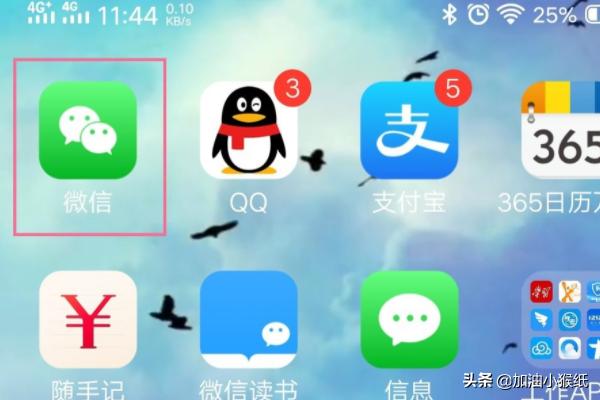 12333社保查询下载，12333社保查询下载安装