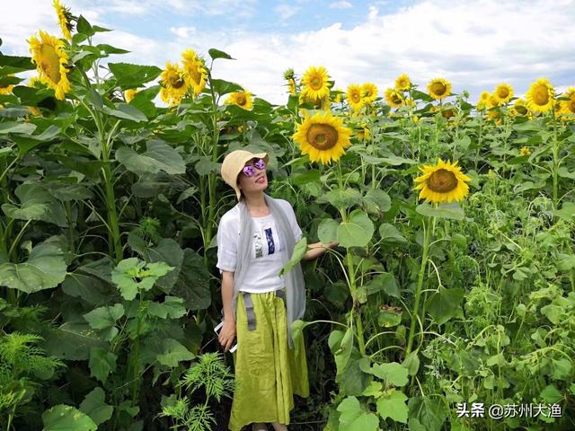 服装搭配如何拍摄好看点(图3)