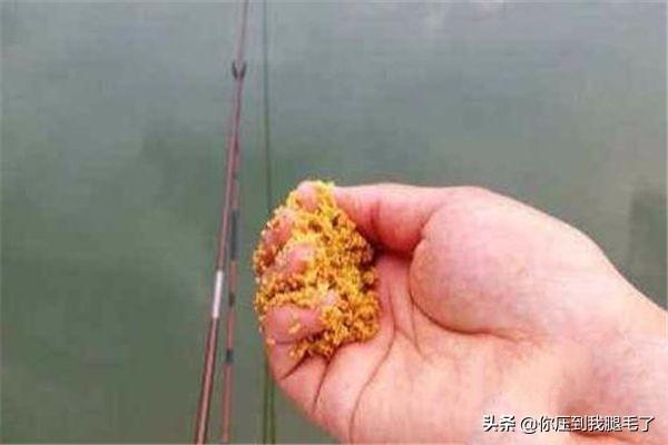 如何学钓鱼装备搭配视频(图4)