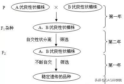 花卉的培育意义?花卉的培育意义是什么!