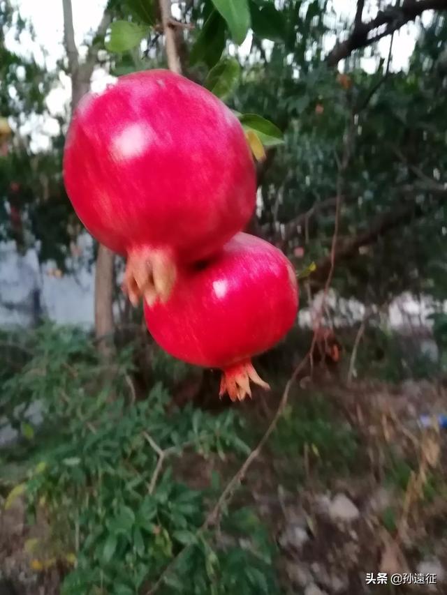 [图片修复]不想要的照片怎么处理最好？