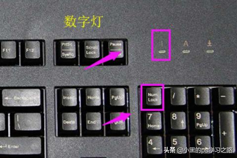 显卡插上键盘不亮,显卡插上键盘不亮怎么回事