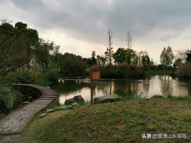 龙泉小镇旅游攻略路线， 龙泉小镇旅游攻略路线图