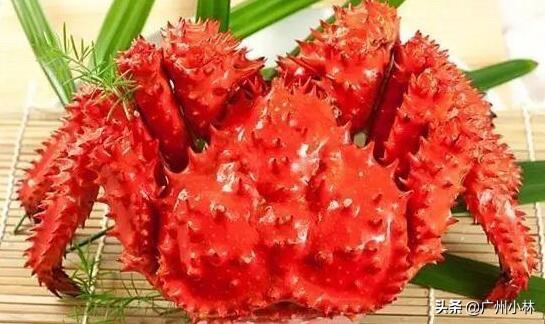 广州市最大海鲜码头？