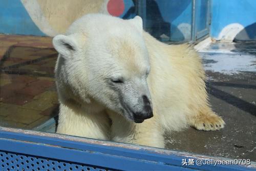 适合女孩听的故事（适合女孩听的故事书）