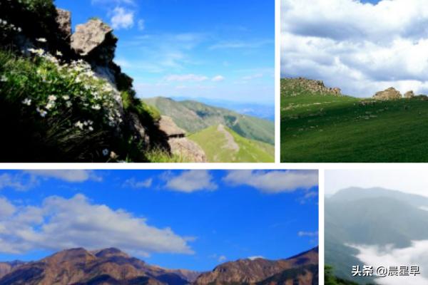 河北绿荫旅游景点大全， 河北绿荫旅游景点大全图片