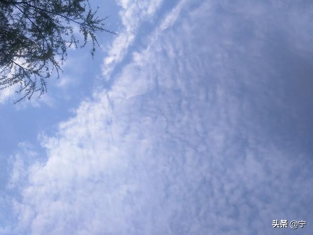 文章投稿平台有哪些（《青年文学》投稿）