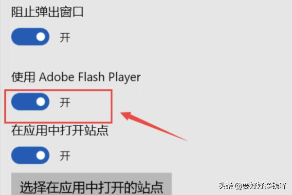 adobe flash10-adobe flash10.0