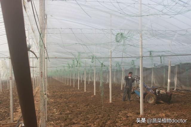 土壤不够肥沃怎么改善(图28)
