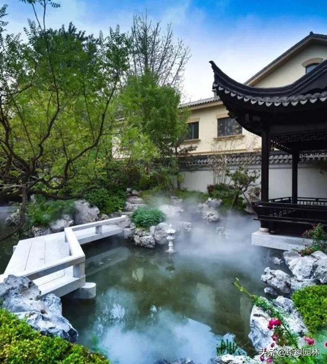 300种常见盆栽植物名称（各种盆栽植物）