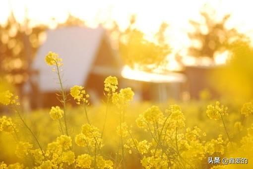 天冷多穿衣服的暖心句子暧昧，天气虽冷心是暖的句子