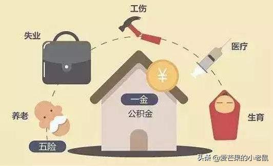 五险一金缴纳比例表，四川五险一金缴纳比例表