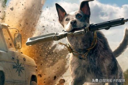 僵尸危机5 僵尸危机5有双人模式-第1张图片-随然AIR主题