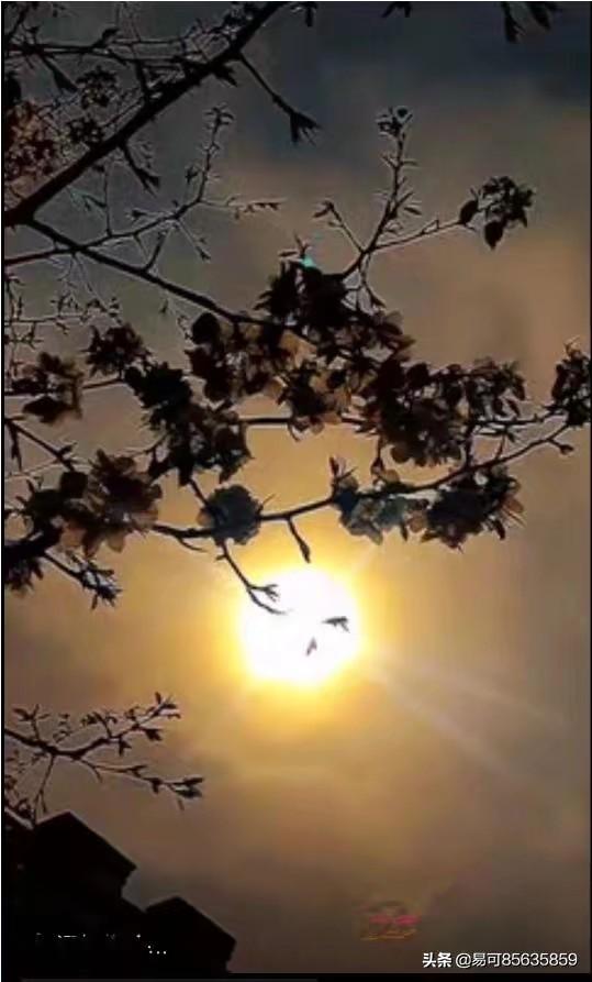 剪影效果剪影效果的照片怎么拍