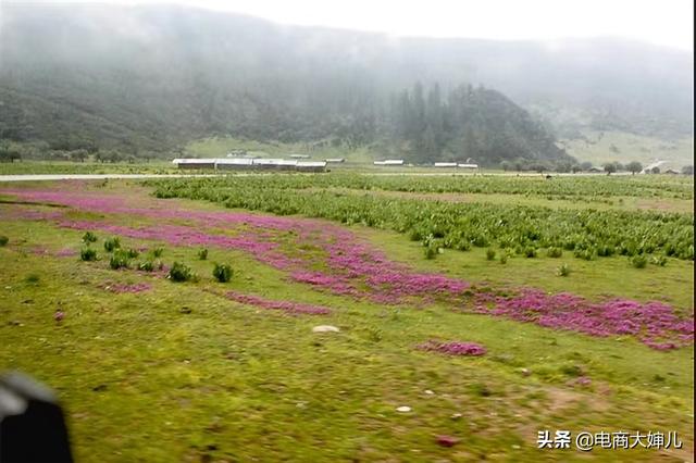 云南昆明市东川区避暑农庄包吃住哪家好,东川区农家乐