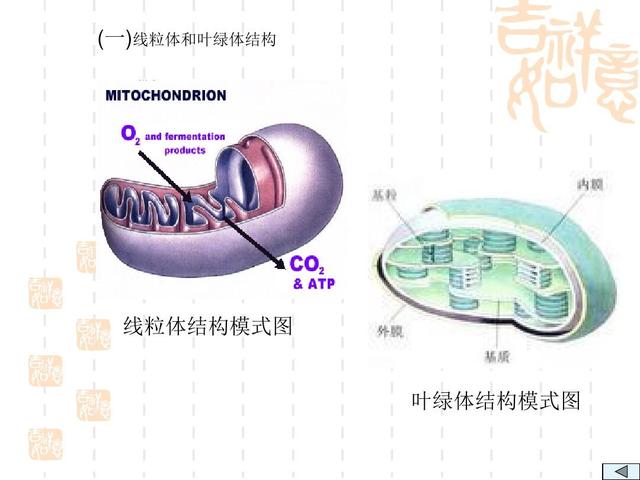 分别图片（怎么把图片准确的一分为二？）