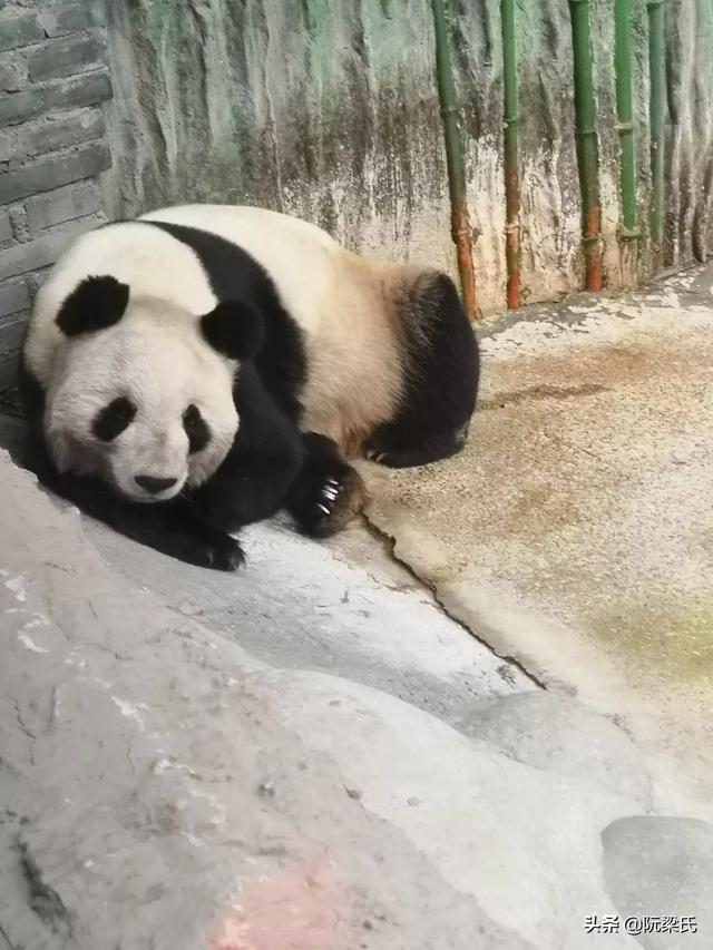 海外生活舞台图片大全，海外生活舞台图片大全高清