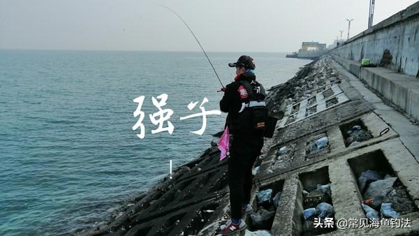 夏天自驾游海滩路线，夏天自驾游海滩路线图