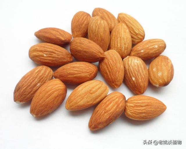 巴旦木和扁桃仁巴旦木和扁桃仁有什么区别