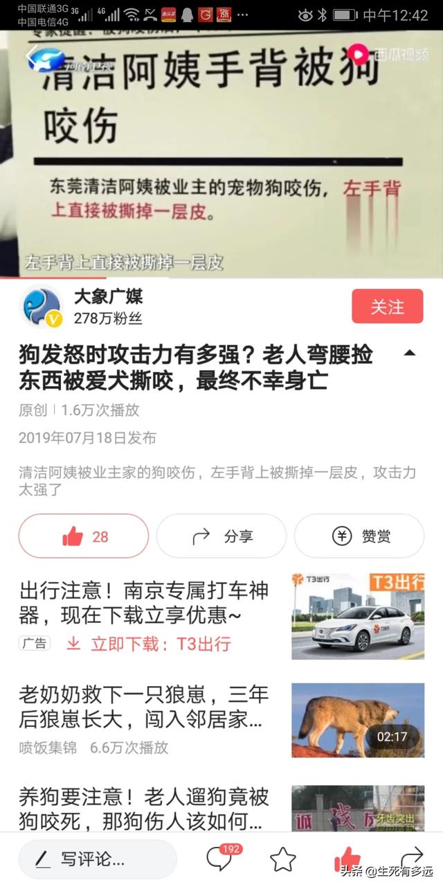 什么动物对人类更友好,第5张
