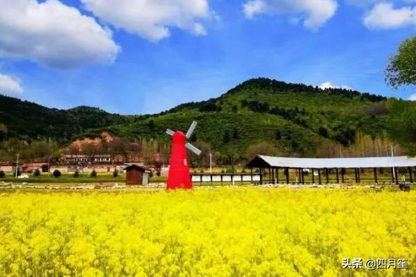 妈妈最想要的16种礼物 学生党适合送妈妈的生日礼物