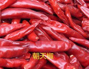 王刚辣椒油的做法凉拌菜(图3)