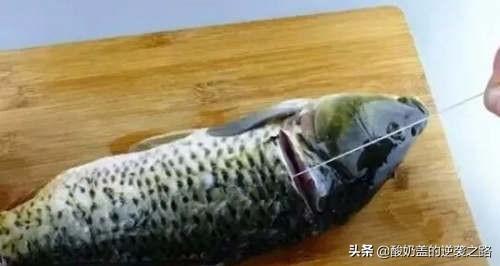 如何去除鱼腥(如何去除鱼腥线)