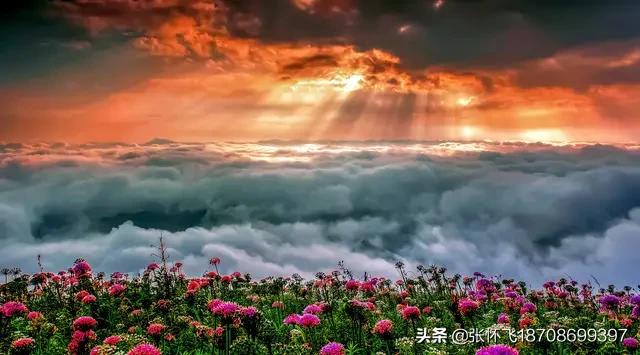 新婚2个月丈夫离世