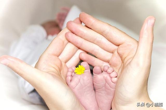 女人做试管会影响寿命(图2)