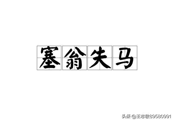 塞翁失马打一正确生肖（塞翁失马是什么生肖,什么意思）