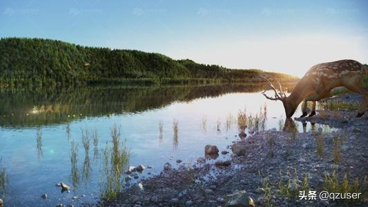 清晨的小鹿（清晨的小鹿英语）