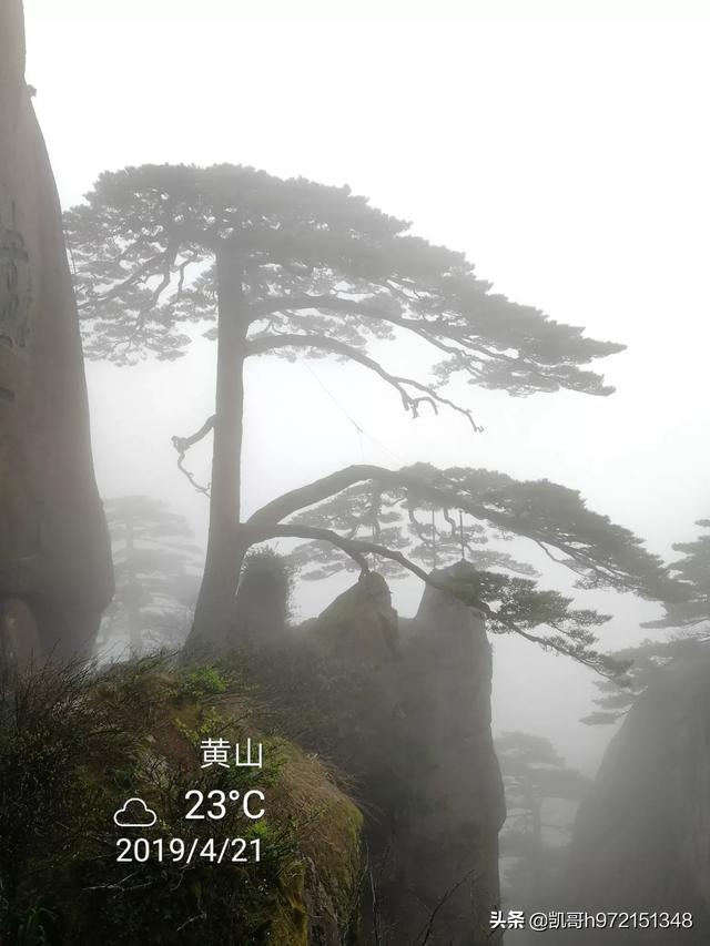 [黄山风景图片]黄山特色风景？