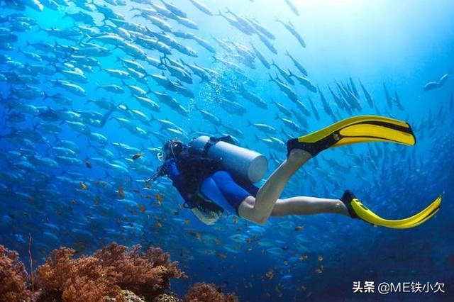 云南丽江市玉龙纳西族自治县吃饭钓鱼游玩好一点的农家乐哪家价格实惠环境优雅,