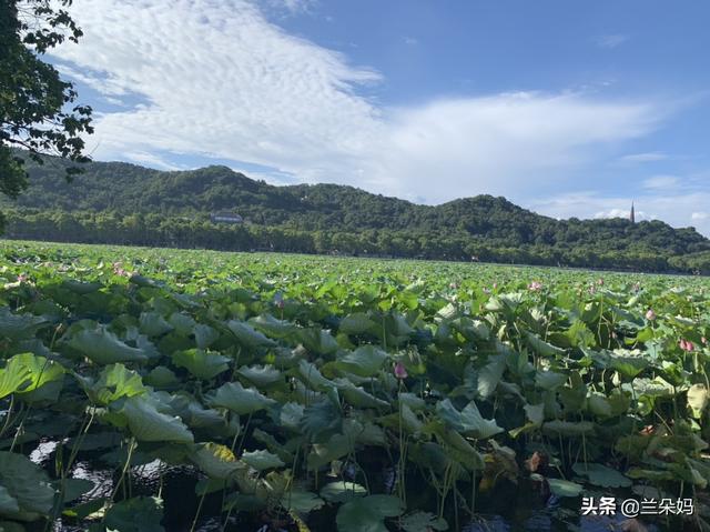 说戒酒又喝酒的人文案伤感，关于喝酒的伤感句子