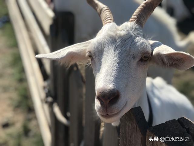 米亚罗旅游穿搭长沙， 米亚罗旅游攻略个人建议