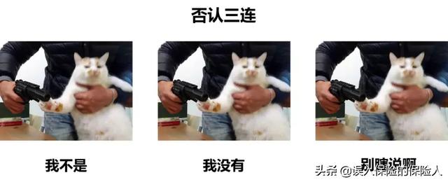 百万医疗险哪个好，重疾险和百万医疗险哪个好