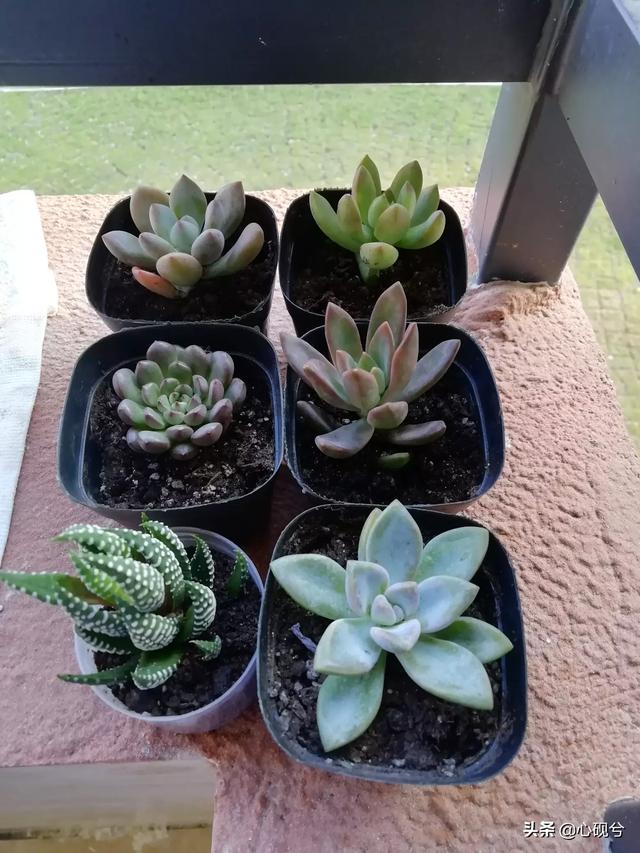赞美诗作诗意般美好生活的句子简短_如何让生活充满诗意
