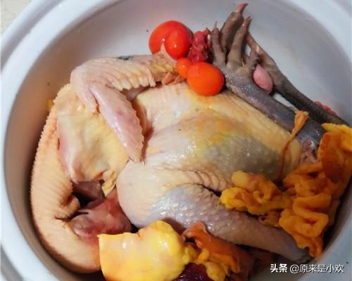 炖鸡肉做法大全家常菜（生煮鸡肉做法？）