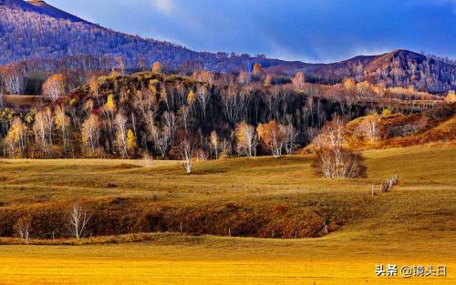 公司股价上涨的原因是什么