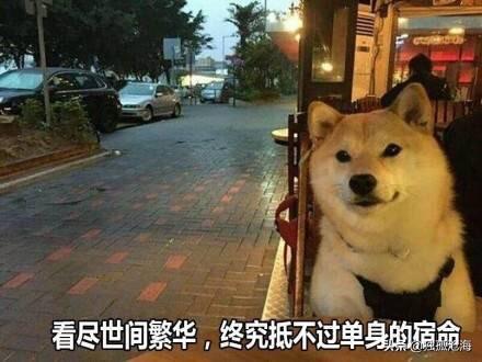高智商女性怎么谈恋爱(图1)