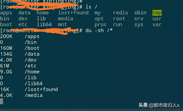 Linux中的目录和文件哪个大？如何查看linux根分区下所有目录及文件的大小？