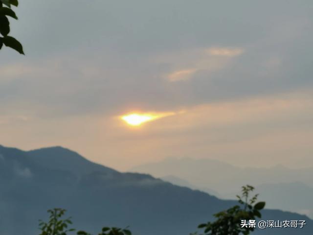 兴山必去景点推荐一下图片(图8)